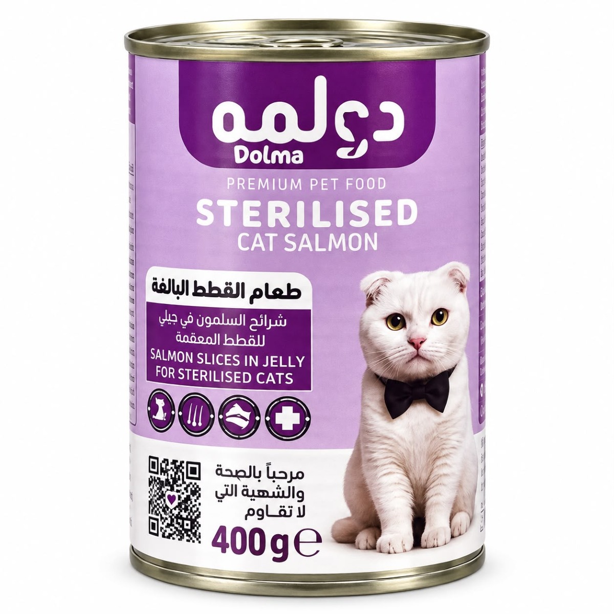 دولمه سلمون